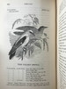1843年 亚雷尔 英国鸟类史（卷1） 约170幅木版画插图 漆布精装18开 商品缩略图3