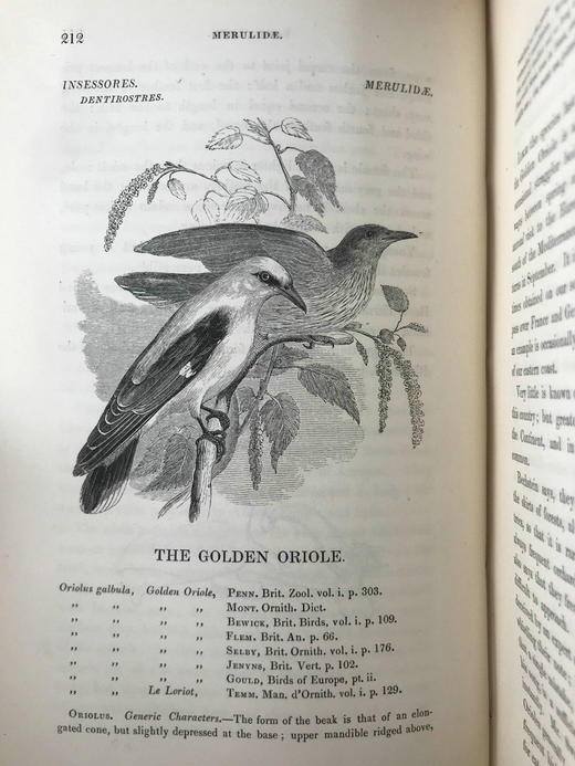 1843年 亚雷尔 英国鸟类史（卷1） 约170幅木版画插图 漆布精装18开 商品图3