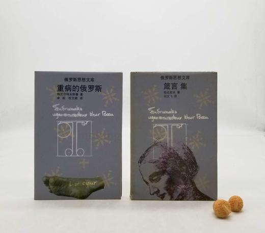 俄罗斯思想文库两种《重病的俄罗斯》《箴言集》，俄罗斯 梅尼日科夫斯基、恰达耶夫著，云南人民出版社1999年一版一印，两册总定价27.2，售价58元，非偏远地区包邮。品相8.5-9成。 商品图0
