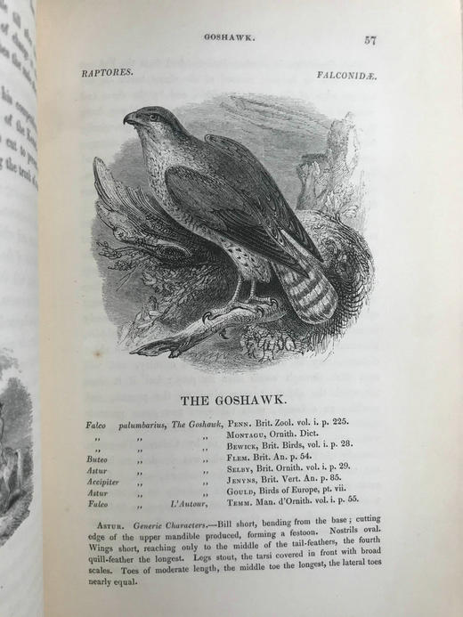 1843年 亚雷尔 英国鸟类史（卷1） 约170幅木版画插图 漆布精装18开 商品图9