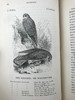 1843年 亚雷尔 英国鸟类史（卷1） 约170幅木版画插图 漆布精装18开 商品缩略图10