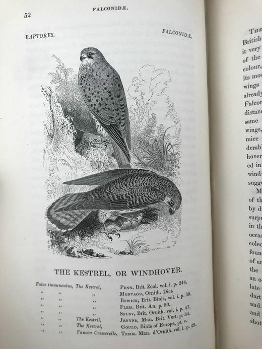 1843年 亚雷尔 英国鸟类史（卷1） 约170幅木版画插图 漆布精装18开 商品图10