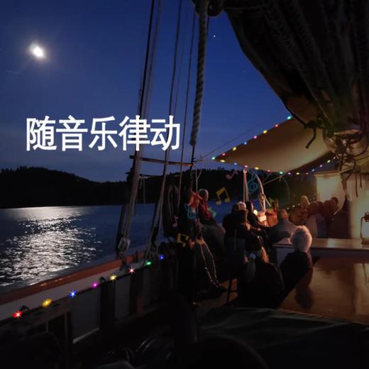 本挚户外-F10C露营音乐律动LED防水幻彩灯串 商品图2