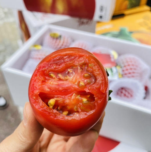 超级玛丽甜番茄 商品图3