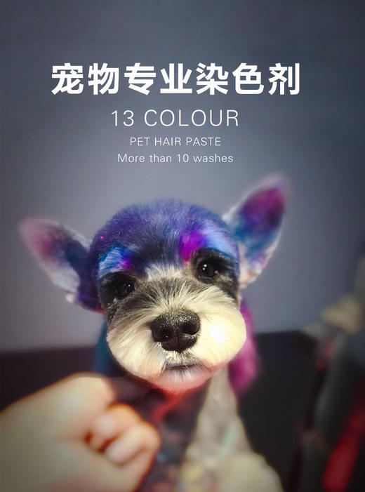 宠物专业染色剂 宠物DIY造型 13色可选 长久型（送染色工具） 商品图1
