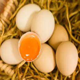 散装无抗鸡蛋/散生鹌鹑蛋