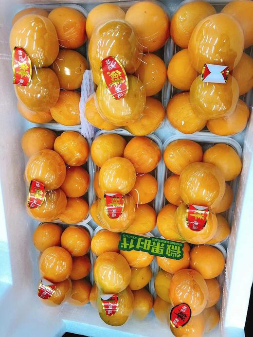 金太阳大黄杏一盒（拼团） 商品图1