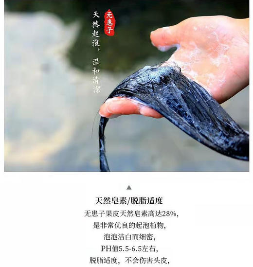 【羌族非遗天然皂素天然起泡温和清洁】无患子  18味草本洗发水, 商品图4