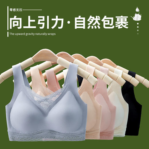 【拍2件129元】透气乳胶胸垫内衣女无钢圈美背蕾丝花边防走光文胸聚拢防下垂胸罩 商品图3