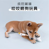 噗扑实验室bosie联名波思鹅宠物玩具猫玩具自嗨逗猫棒狗发声玩具 商品缩略图3