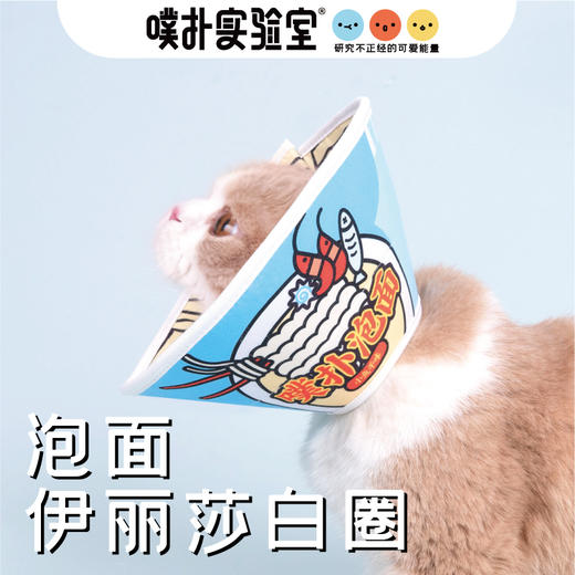 噗扑实验室伊丽莎白圈泡面头套防舔防咬抓猫咪绝育圈耻辱圈 商品图0