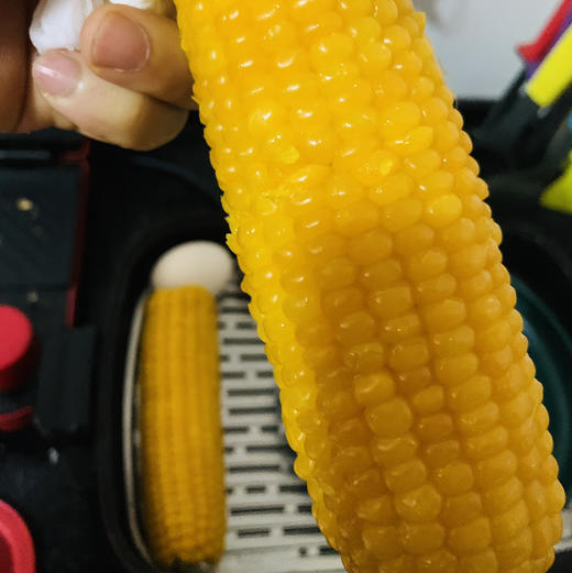 东北甜糯黄玉米18根/箱 真空礼盒装 商品图4