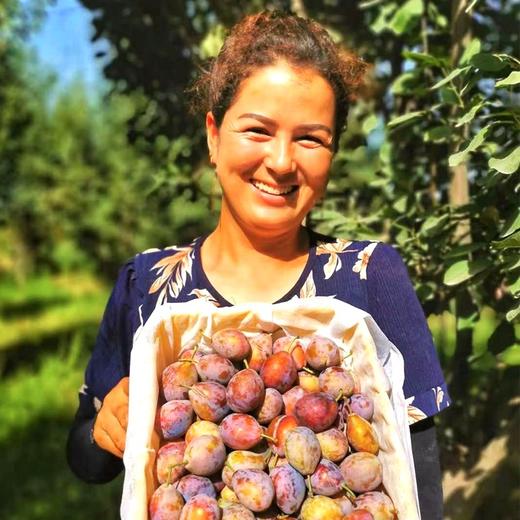 西域美农NFC西梅汁200ml*10袋  不加糖 不加水 商品图5