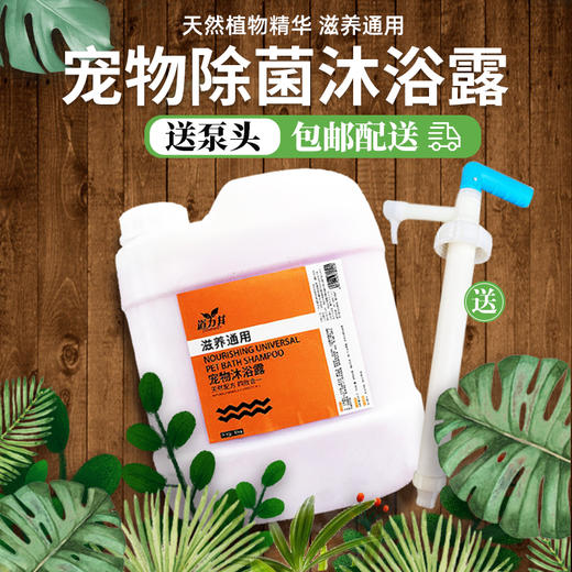 【送泵头】道力其20KG 大桶沐浴露宠物店专用 清洁去污效果好 商品图1