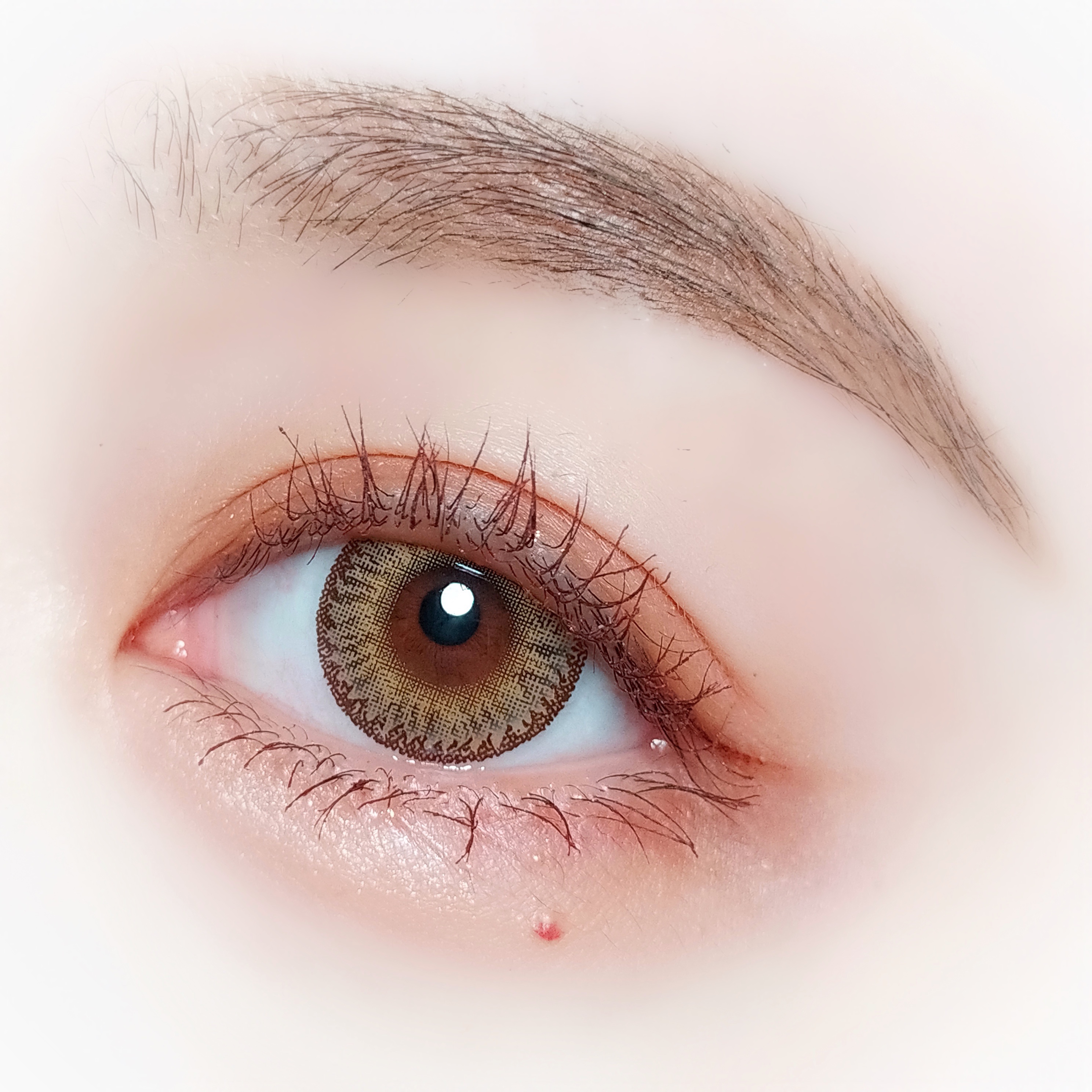 winni温妮dodo嘟嘟145mm年抛1片