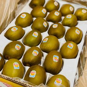 新西兰🇳🇿佳沛金果🥝（22头）