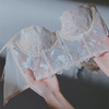 黛唯梵 法式蕾丝刺绣内衣小胸聚拢有钢圈文胸2022年新款塑身吊带鱼骨胸衣国庆出游 商品缩略图4