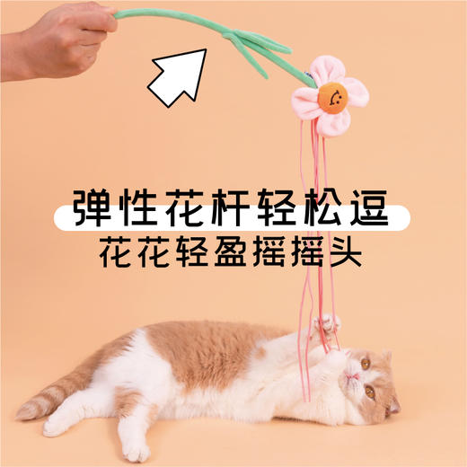 PurLab噗扑实验室逗猫棒花花fafa猫咪玩具自嗨耐咬猫薄荷 商品图3