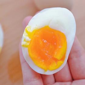 可生食精品 鲜鸡蛋 礼盒装 30枚（单个约45～52g)