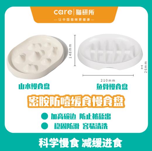 慢食盘 鱼骨防噎缓食慢食盘 密胺材质加高防滑设计 少吃多餐 避免呕吐 商品图0