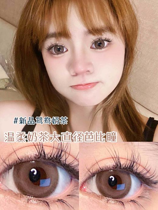 【店主实拍】鸳鸯奶茶14.5mm【年抛 度数0-1000度 含有525/575】 商品图0