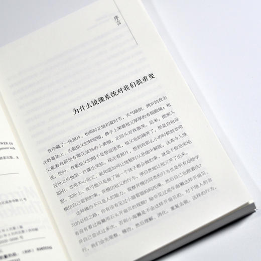 镜映思维 人在社会中的自我形成 商品图8