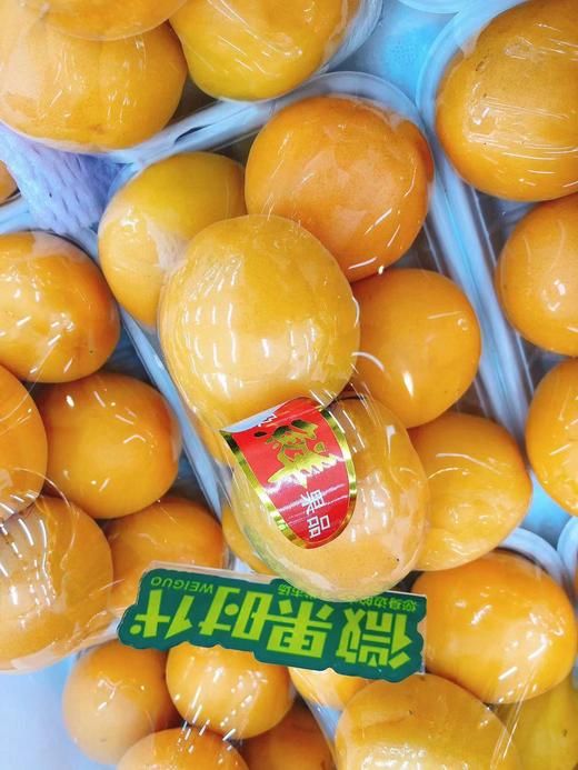 金太阳大黄杏一盒（拼团） 商品图0