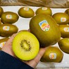 新西兰🇳🇿佳沛金果🥝（22头） 商品缩略图1