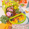 CALLPLAY科答鸭种植花房绽放吧迷你盆栽小学生生物阳光房植物儿童通用玩具 商品缩略图0