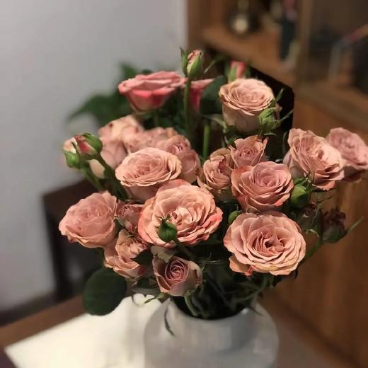 【卡布奇诺多头玫瑰】5支/份  长约60cm 商品图1