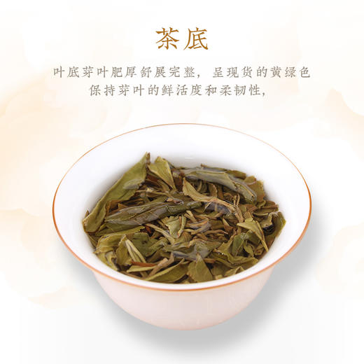 一球2022春茶版纳之巅普古树纯料普洱生茶饼 商品图4