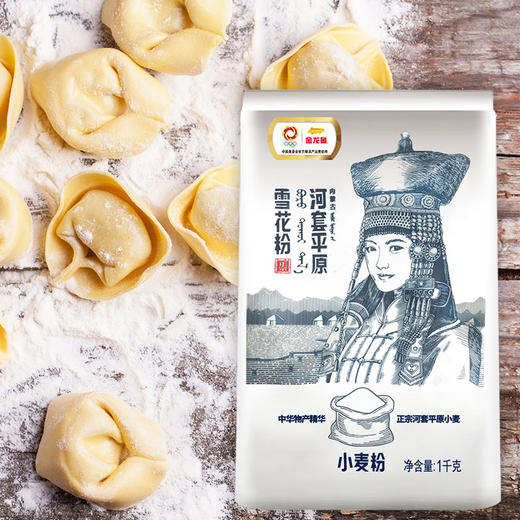 【仅限石家庄地区】金龙鱼河套平原雪花粉1KG装 商品图2
