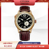 西铁城日本官方正品新FF系列飞行军旅风皮带机械男表NJ0143-19E 商品缩略图7