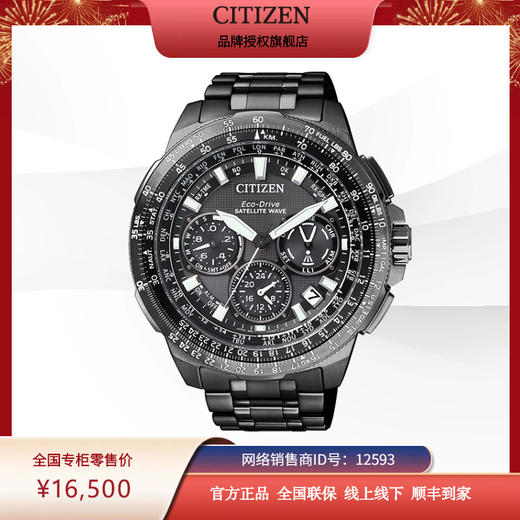 西铁城日本官方正品舒博钛卫星对时男表CC9025-51E 商品图5