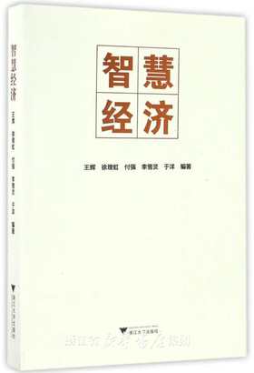 智慧经济/王辉/徐理虹/付强/李雪灵/于洋/浙江大学出版社