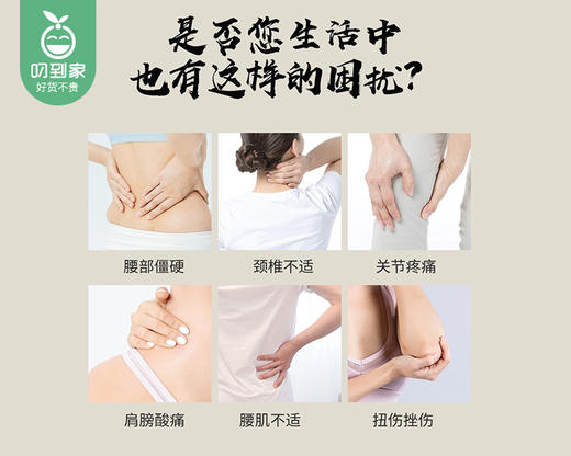 神根台湾金牌一条根膏贴/1包（7.5cm*10cm*20贴）限用日期：30年1月 商品图2