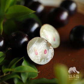 生态嘉宝果 | 合作生产 * Ecological Jabuticabar | Coproduction