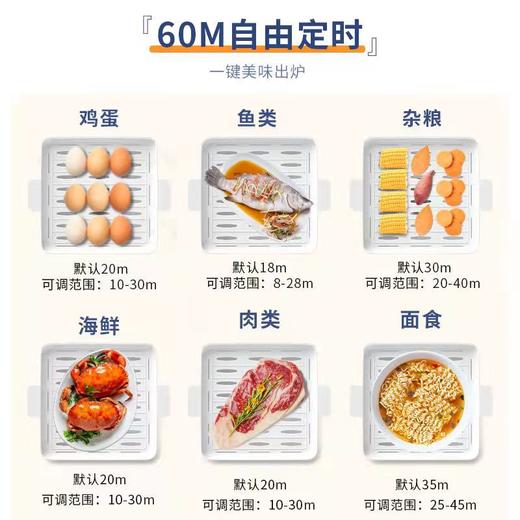 HYUNDAI韩国现代电煮锅电蒸锅分体式电蒸笼多用途预约保温18L容量 商品图3