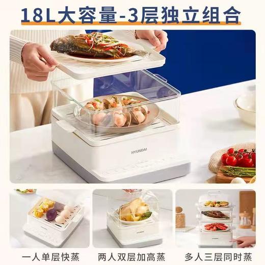 HYUNDAI韩国现代电煮锅电蒸锅分体式电蒸笼多用途预约保温18L容量 商品图2
