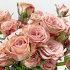 【卡布奇诺多头玫瑰】5支/份  长约60cm 商品缩略图6