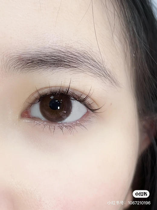 半年抛 Annakelly 蒸馏水杏茶 14.2 着色13.36  蜜桃粉冻 AK 商品图1