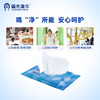 【开学必备】国光湿巾 消毒湿巾10片 10包箱规订货【GPQ】 商品缩略图2