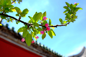 你的日常习惯居然伤肝伤阳气？春季如何去火养肝？