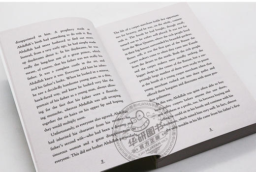 空中城堡 英文原版小说 Castle in the Air 哈尔的移动城堡续集 英文版 宫崎骏动画电影原著小说 进口原版英语书籍 商品图2