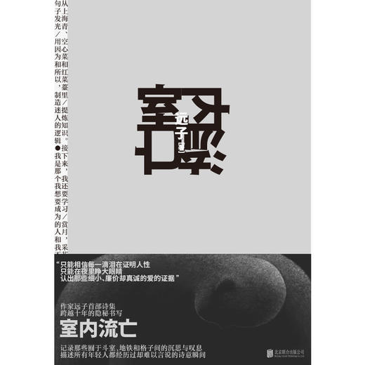 室内流亡 商品图1