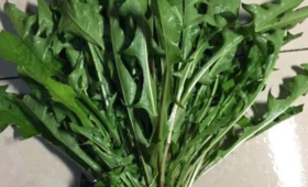 它是初春“抗炎菜”，还能保肝散结，调节免疫，老人吃最好～ 