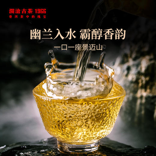 【必入品鉴装】澜沧古茶2023年景迈001品鉴装单泡装 商品图2