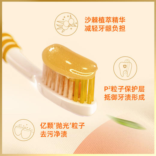 沙棘护龈固齿植萃牙膏120g/支 商品图2
