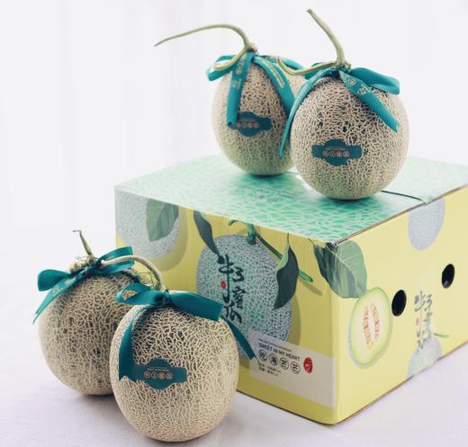 海南三亚  吃海芒芒 | 牛3蜜瓜 商品图0
