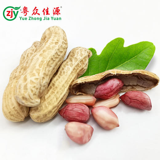 连州粤众佳源水煮咸干花生自立袋350克休闲食品果脯蜜饯开袋即食 商品图5